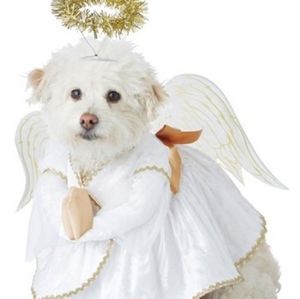 Angel Dog XL costume